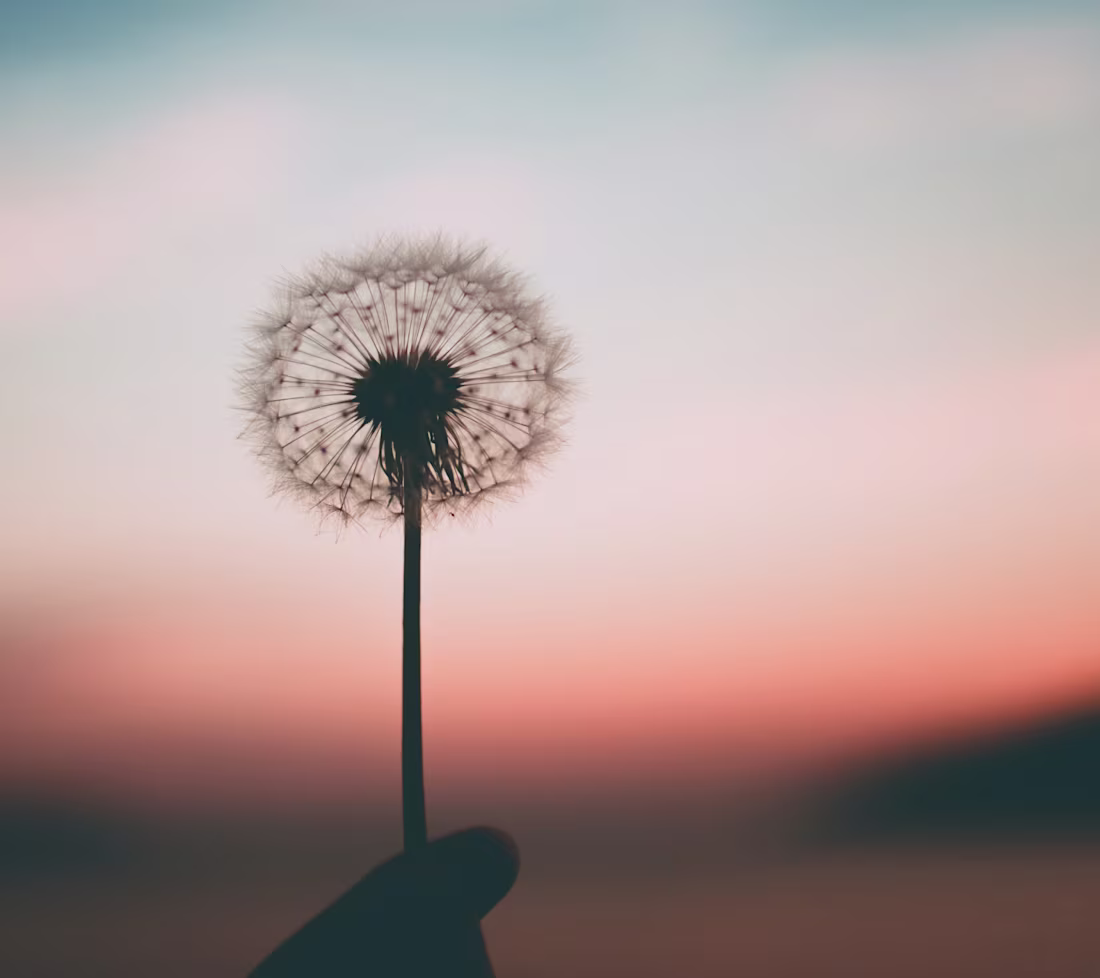 Cover image for Stages of Sleep: Decoding Sleep Cycles