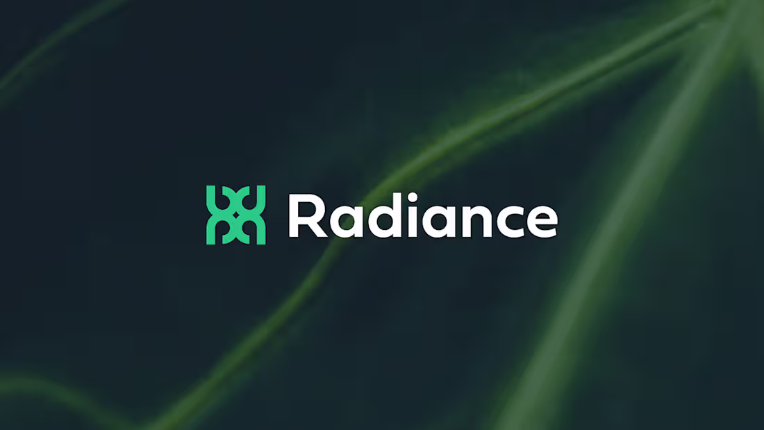 Cover image for Marketing Agency Brand Identity Design 