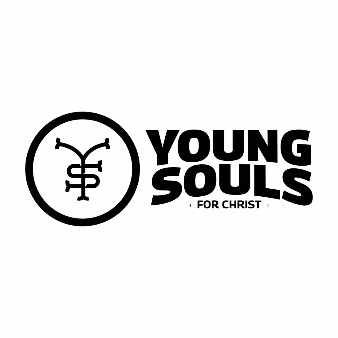 Cover image for Young Souls