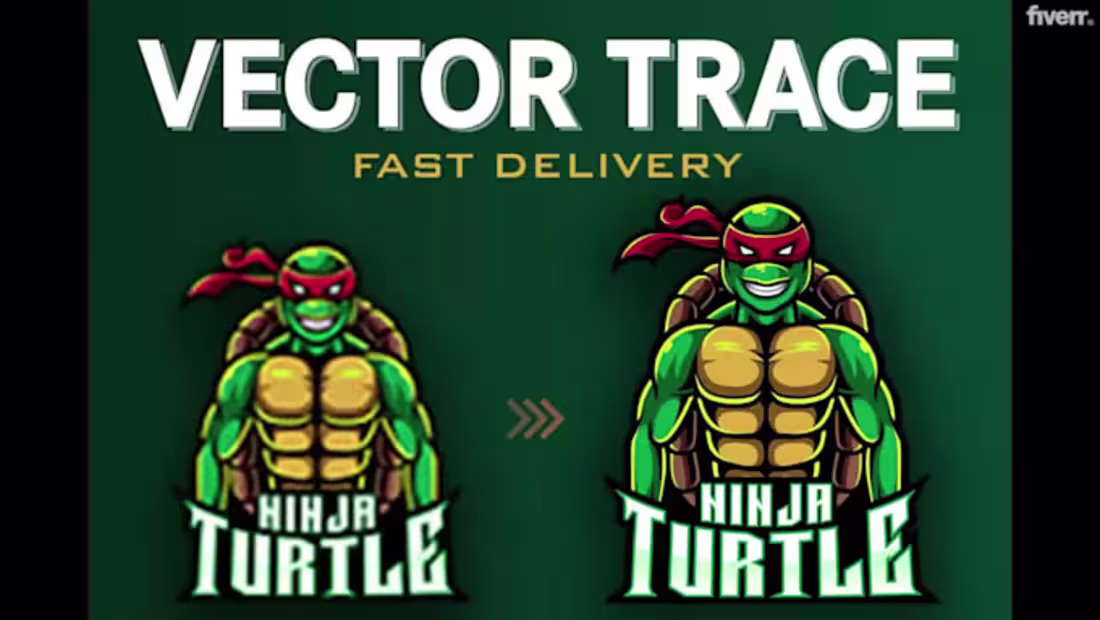 Cover image for Vector Tracing and Image Conversion Project