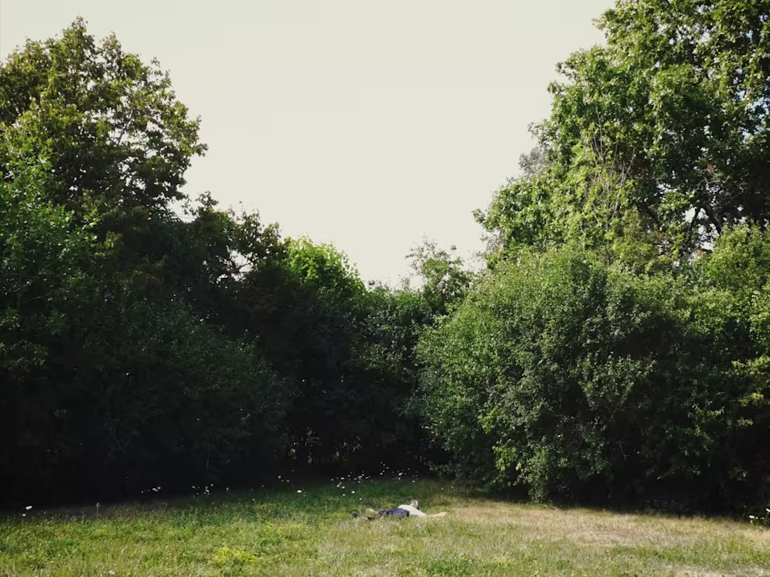 Cover image for Clips and stills from my