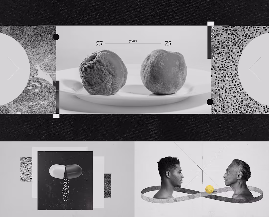 Cover image for Longevity Hackers | Motion Design