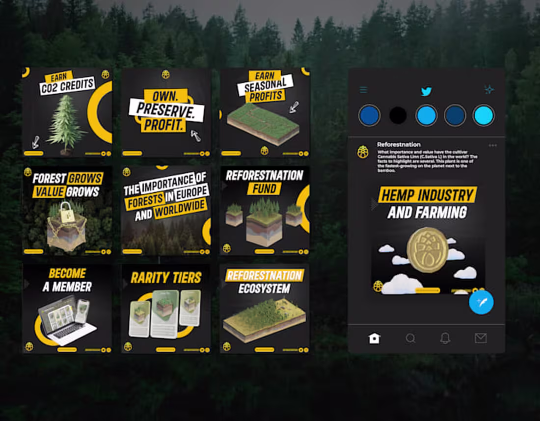 Cover image for Social Media Management