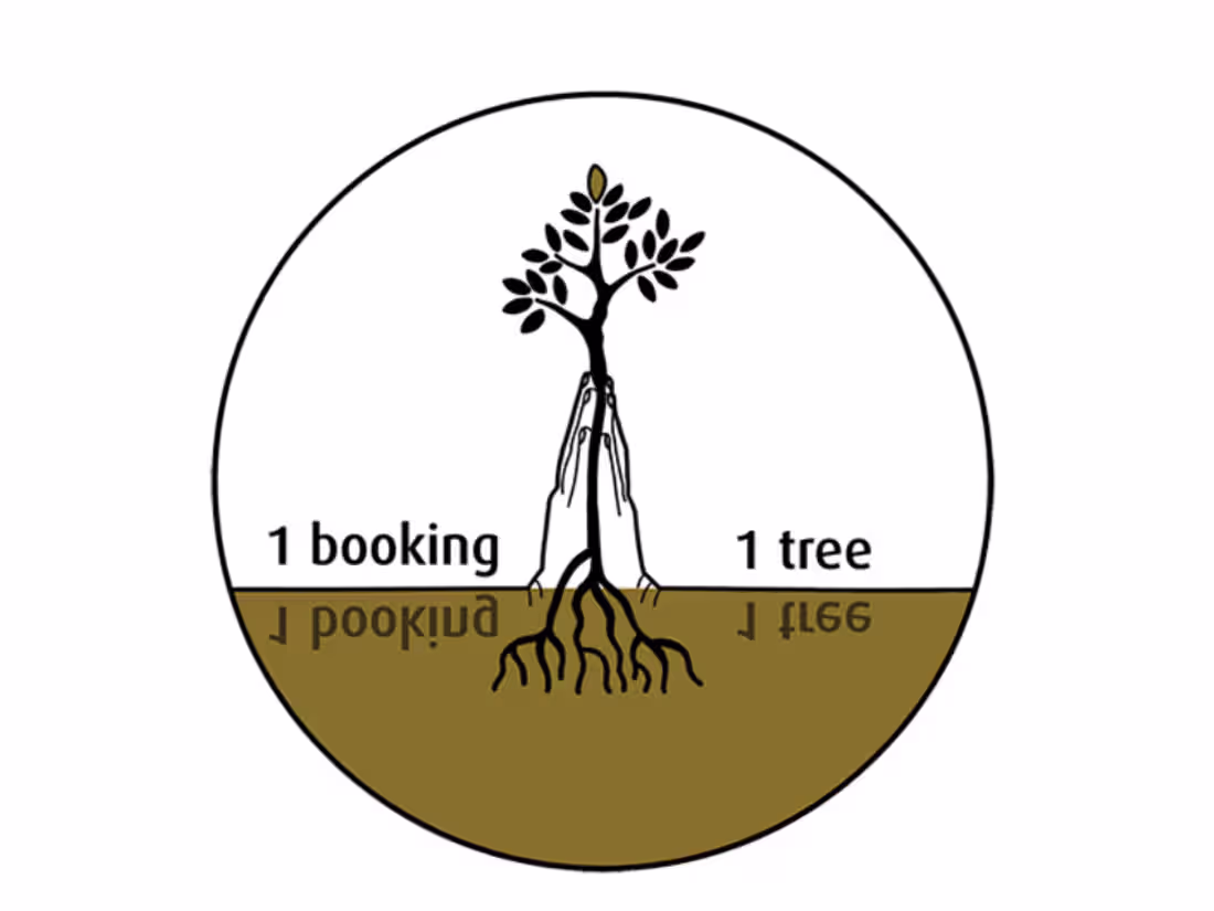 Cover image for Visual Design for The Sarojin's Sustainability Campaign