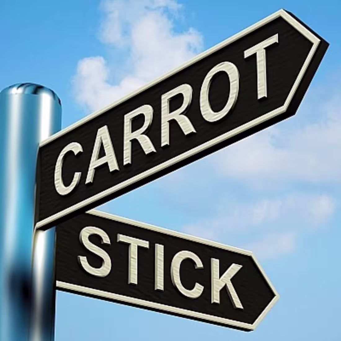 Cover image for The Carrot or the Stick?: Organizational Leadership in and Beyo…
