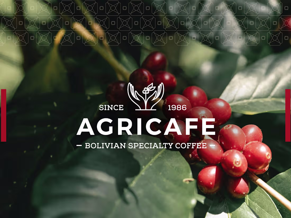Cover image for Agricafe Brand Design