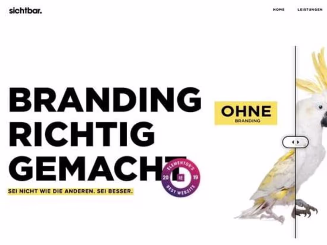 Cover image for Boosting Visibility for Sichtbar with Design and SEO