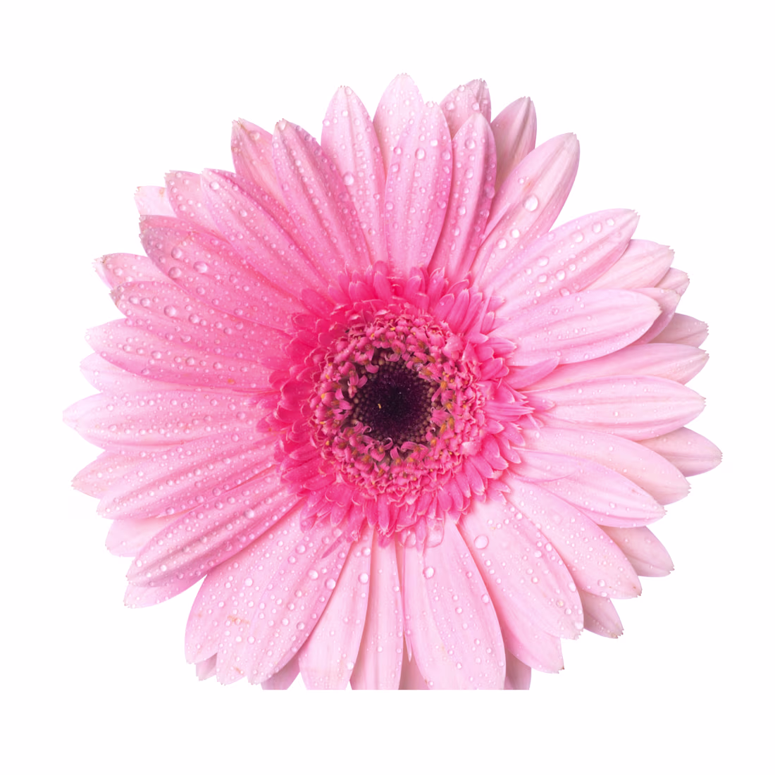 Cover image for Accreditation preparation consulting/Audit/KPI design/policy&SOP