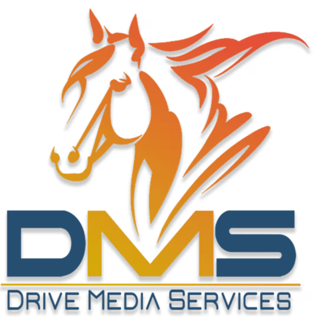 Cover image for Drive Media Services Website Content