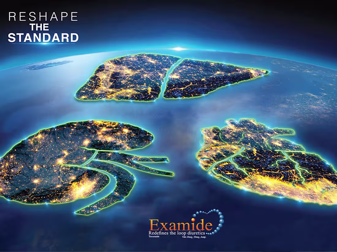 Cover image for Visuals