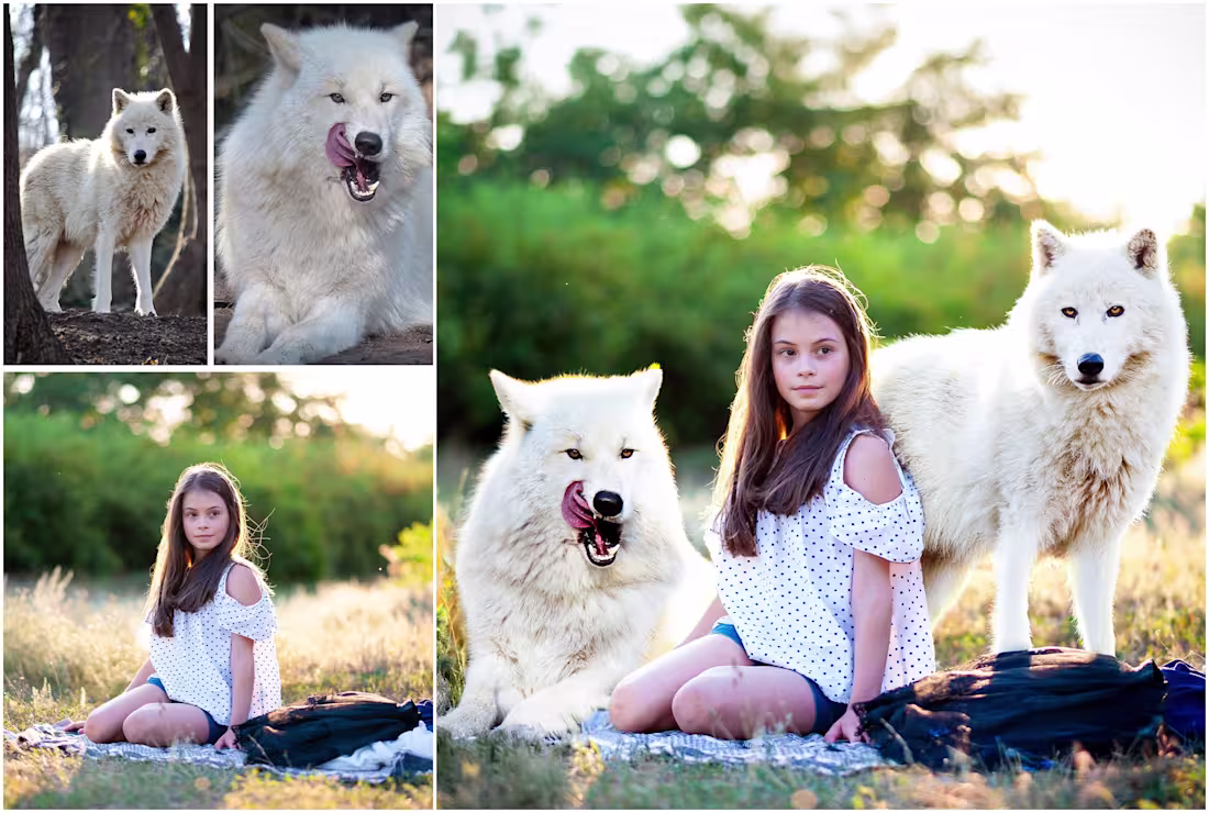 Cover image for “Professional Photo Retouching & Image Editing”