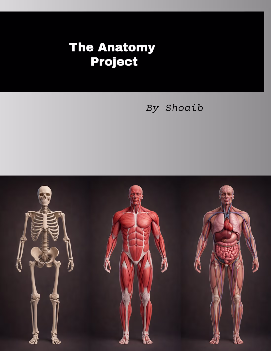 Cover image for “I recently designed a medical