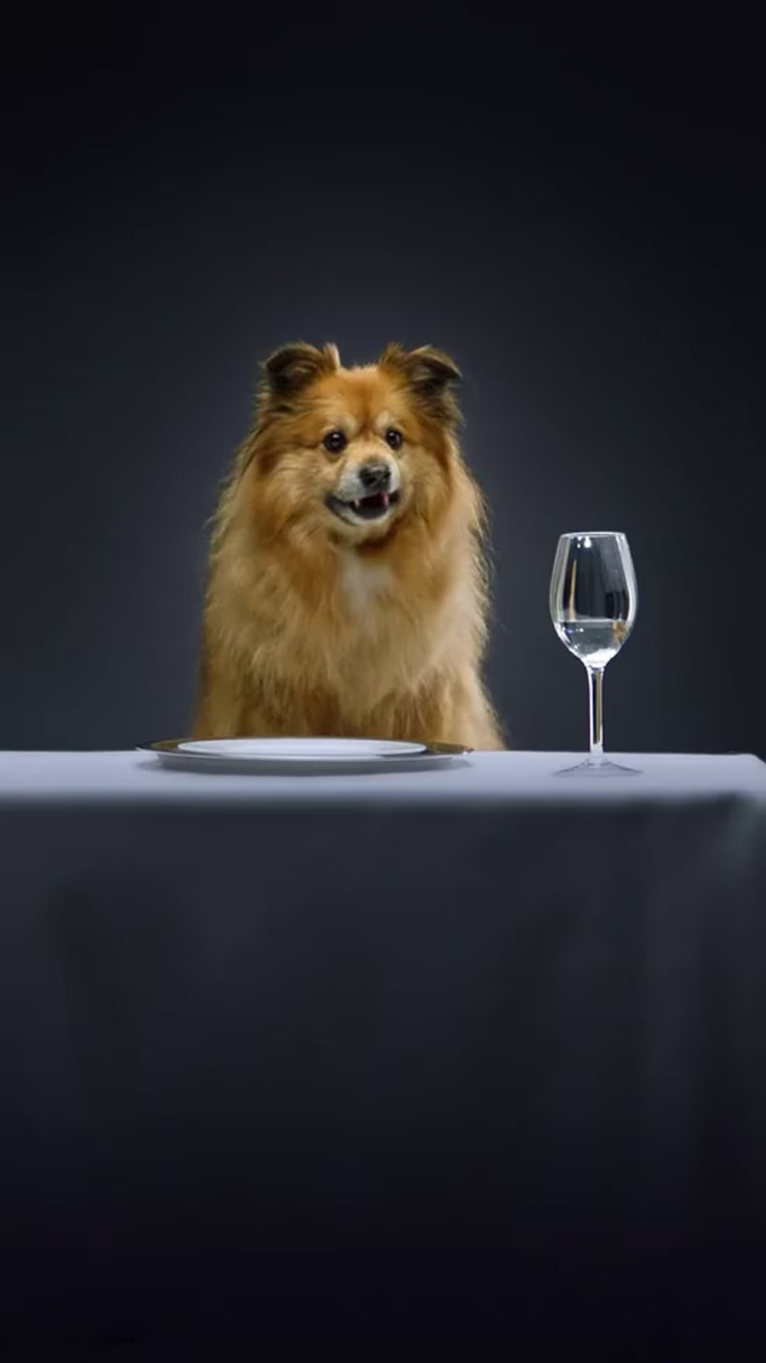 Cover image for Futterneid - Bisschen Was Feines