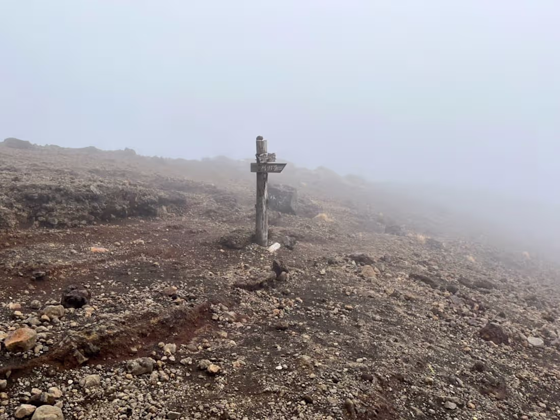 Cover image for This Our Daily Bread