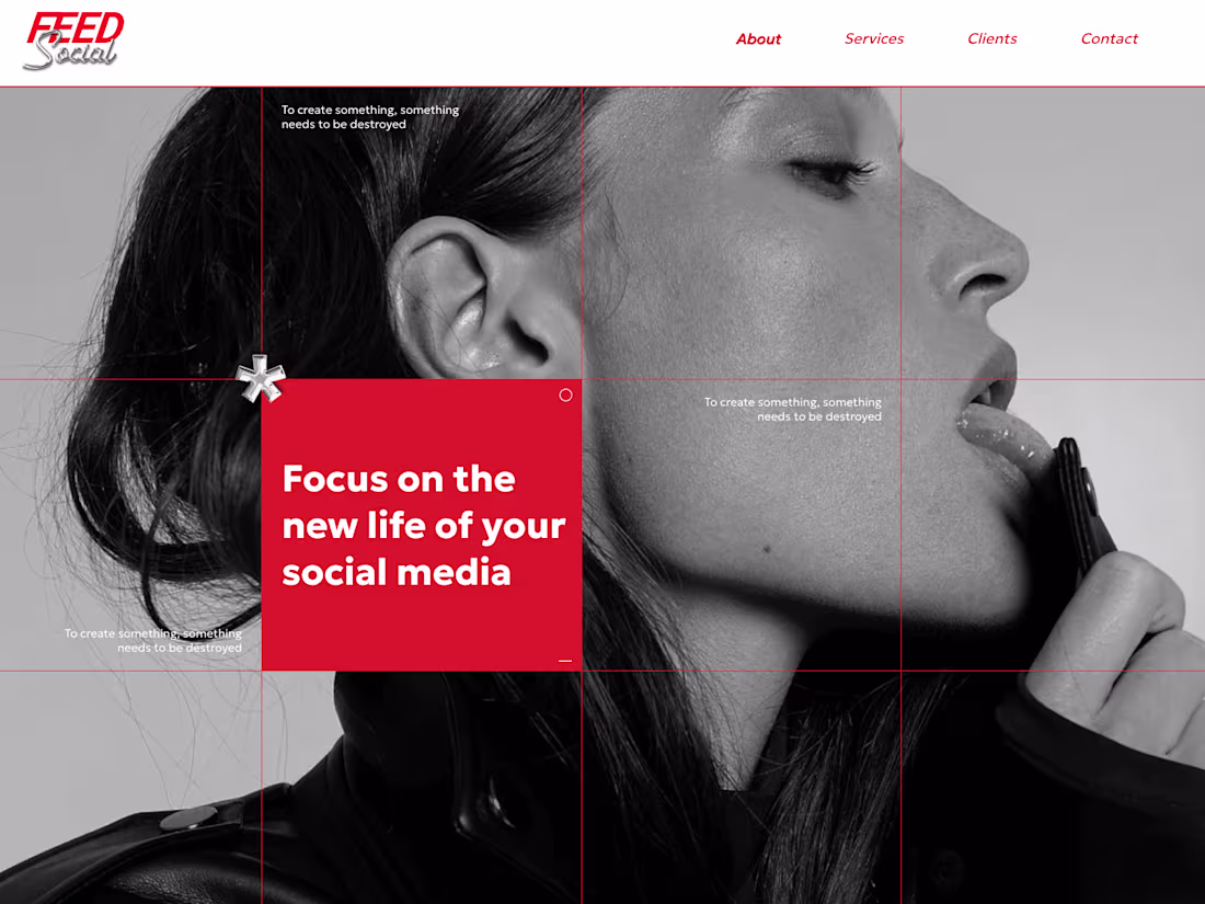 Cover image for Wix Studio Web Design and Branding | Feed Social