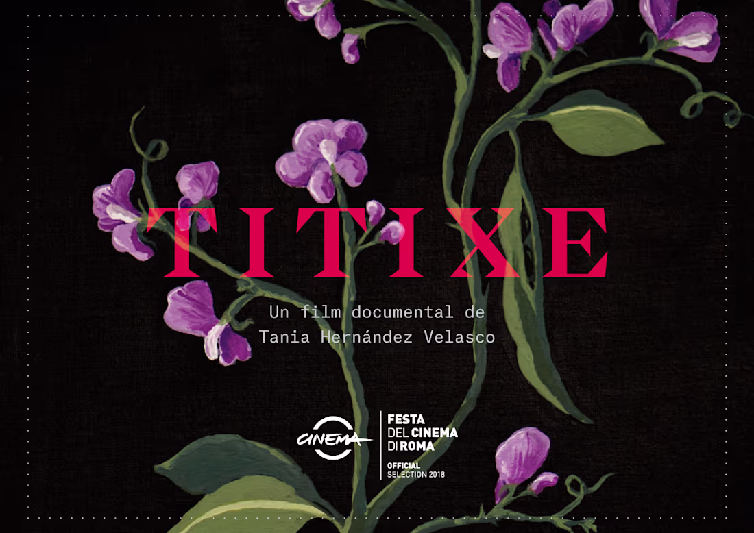 Cover image for Titixe - Opening and closing music
