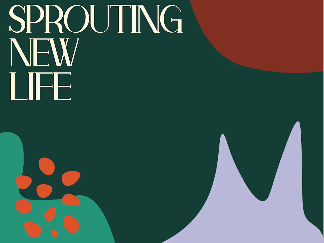 Cover image for Young Entrepreneurs 