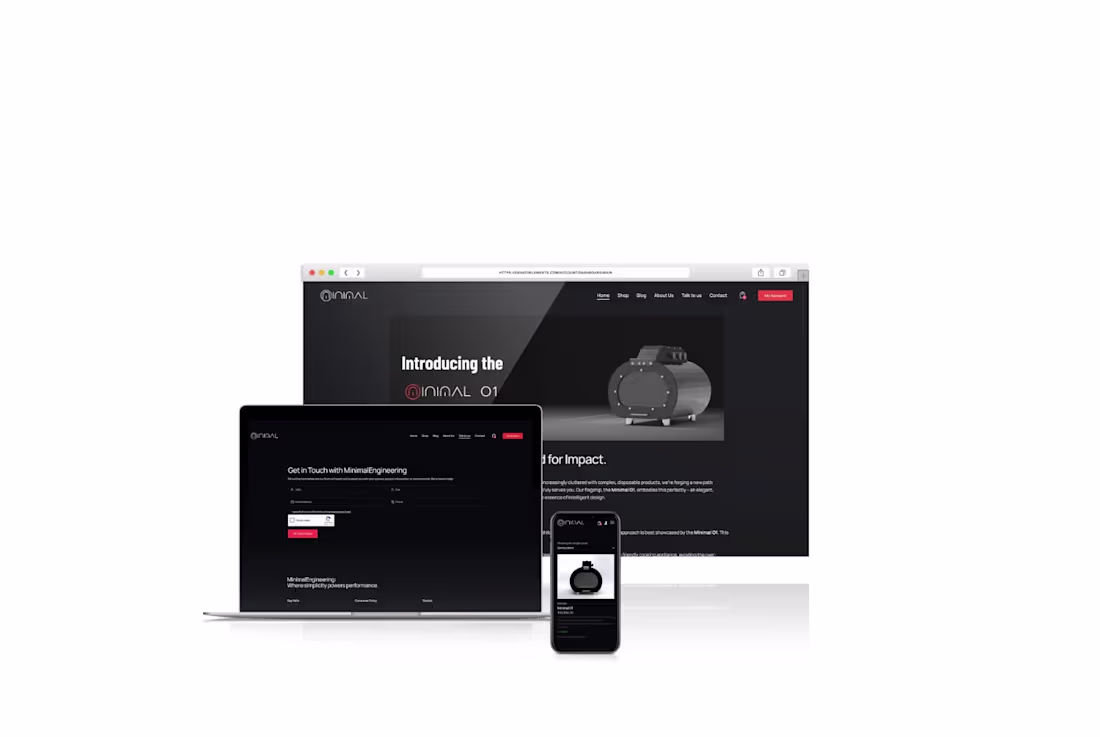 Cover image for The client required an e-commerce