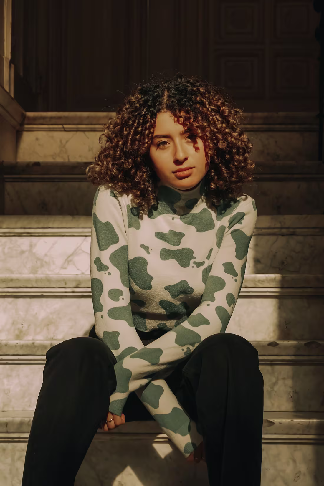 Cover image for Portraits