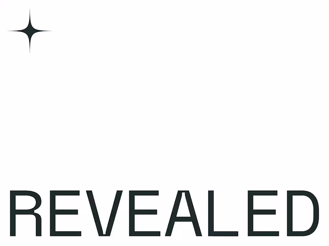 Cover image for Revealed x Open 2