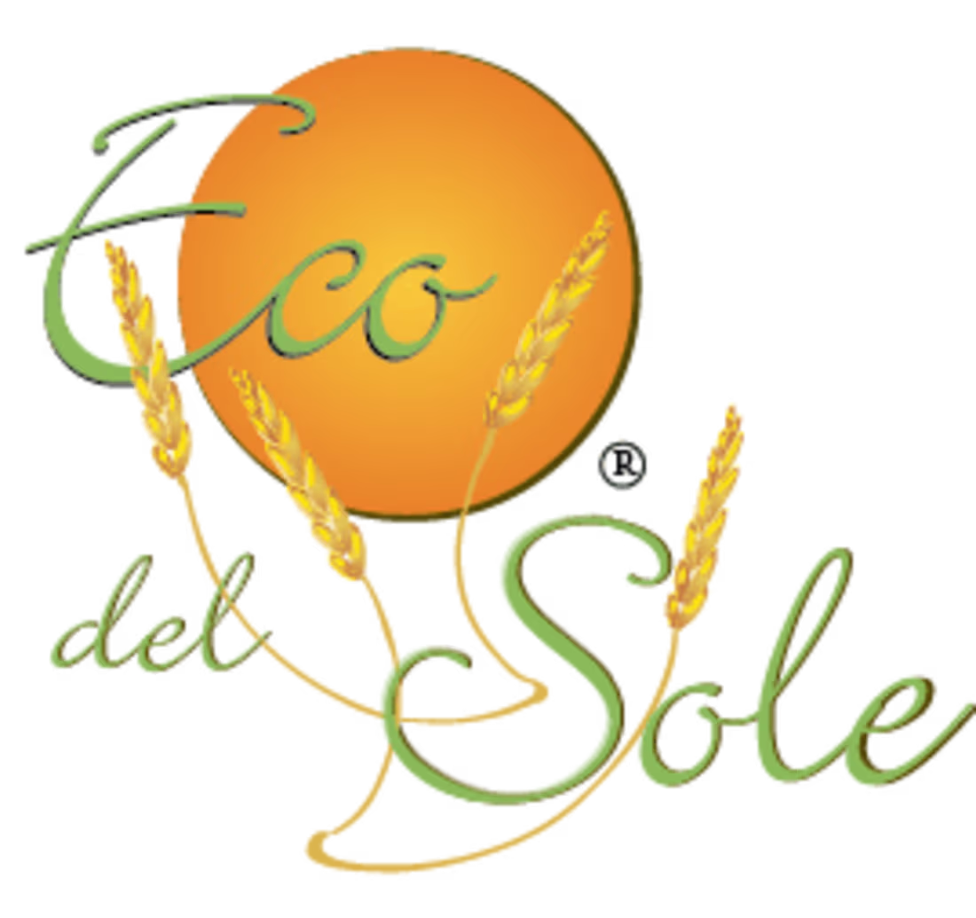 Cover image for Ecodelsole