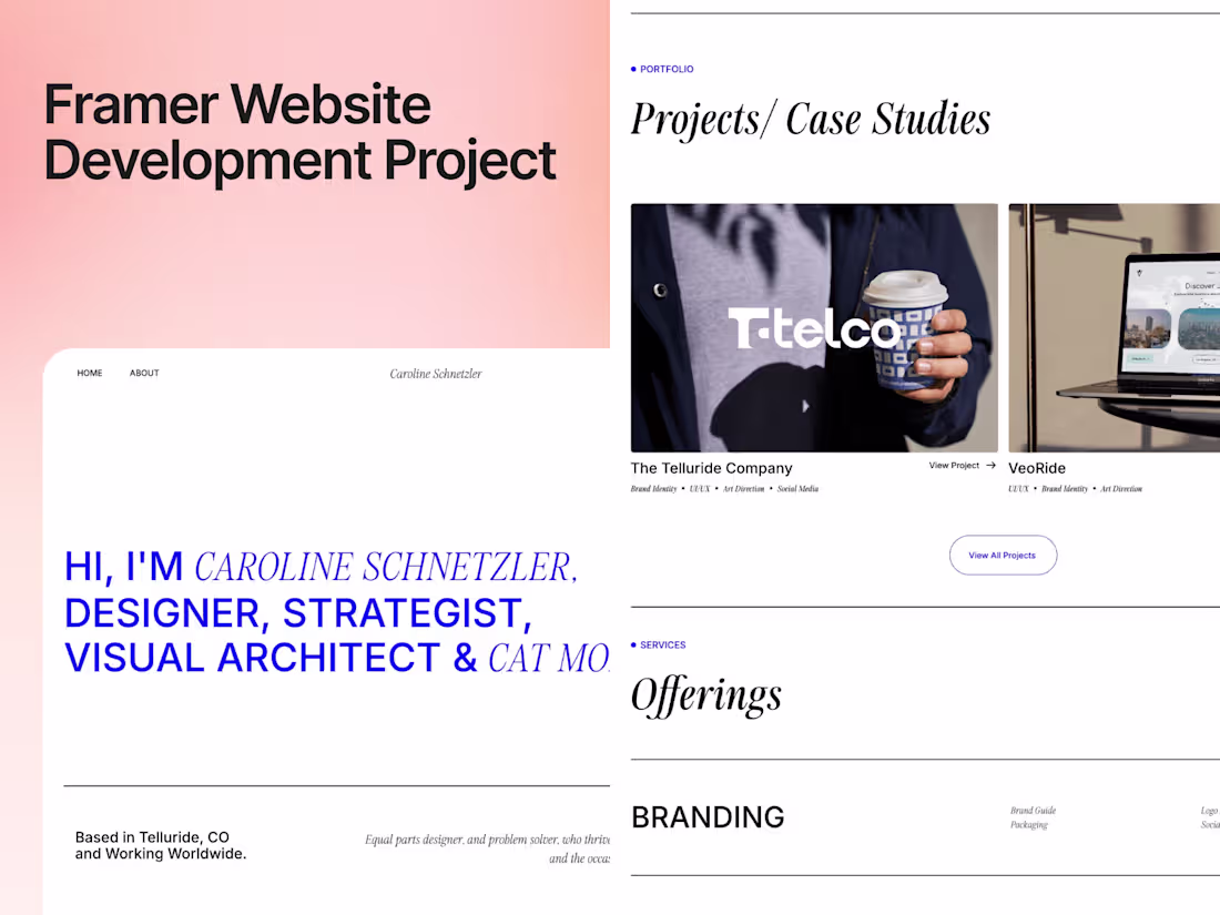 Cover image for Caroline Schnetzler Website Customization and Issue Resolution