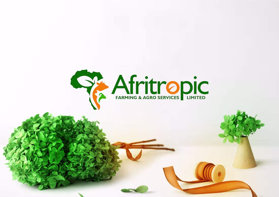Cover image for AFRITROPIC REBRAND (UNOFFICIAL)