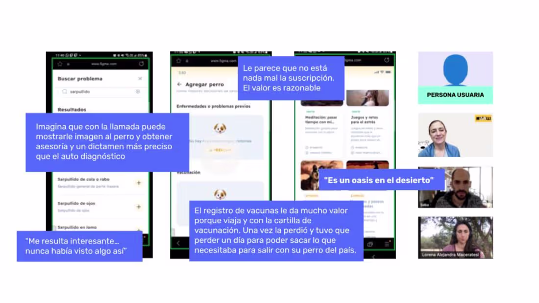 Cover image for AI-Powered Pet Care App UX Validation for Moolli