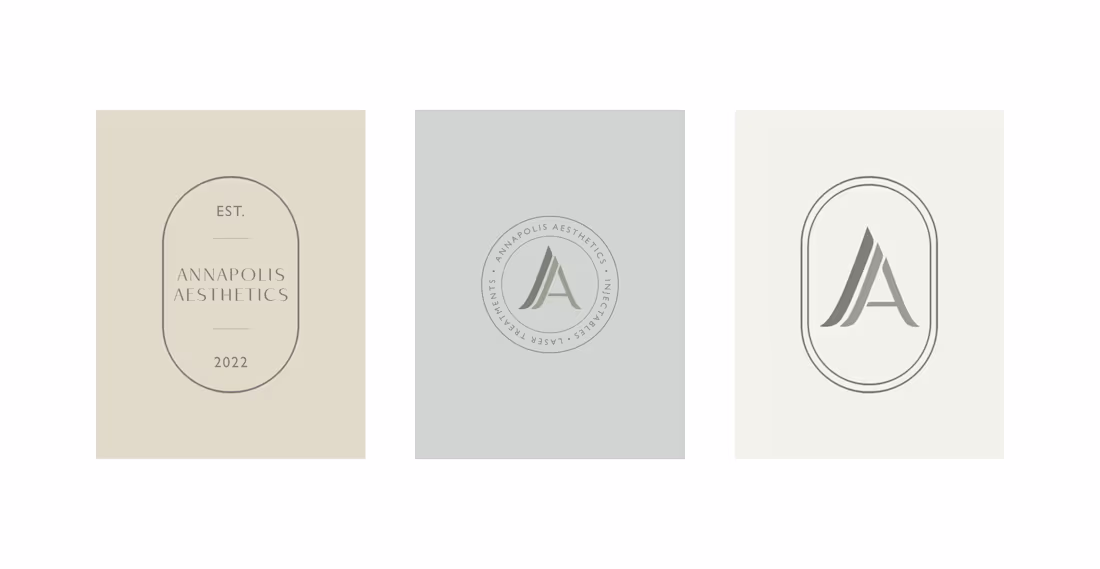 Cover image for Annapolis Aesthetics