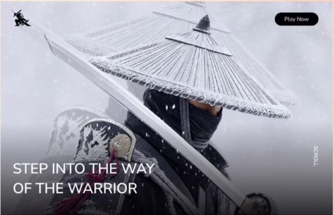 Cover image for Step into the way of the warrior