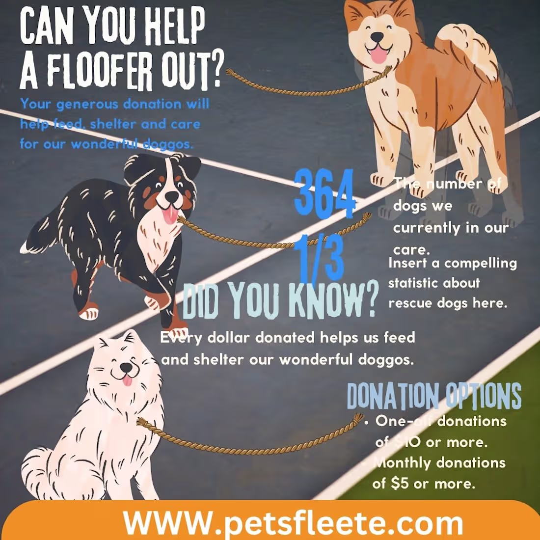 Cover image for proessional infographics design