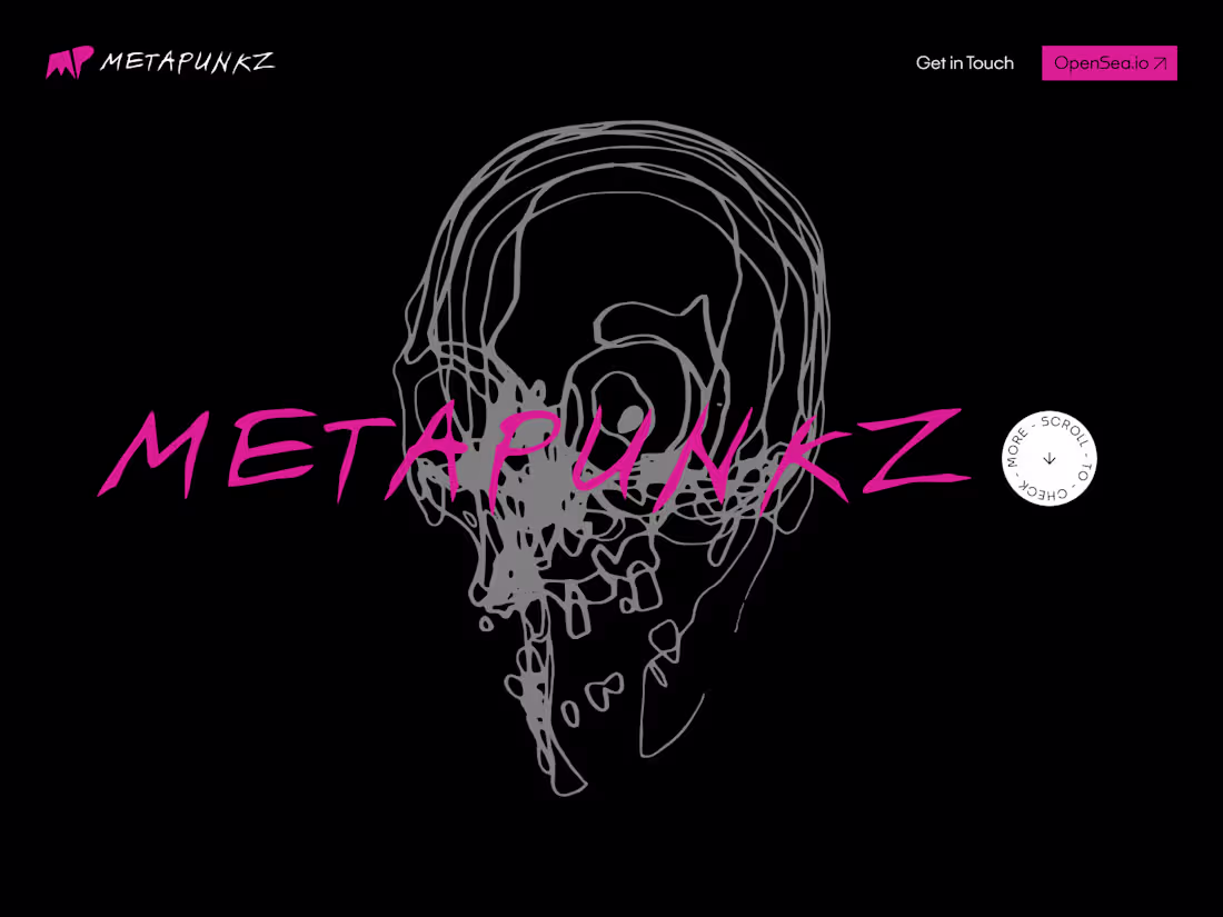Cover image for Metapunkz