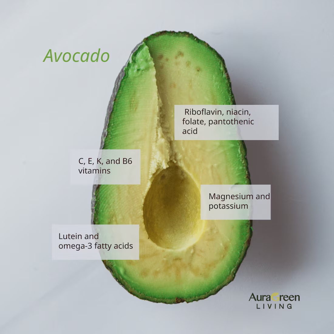 Cover image for Social Media Management & Content Creation