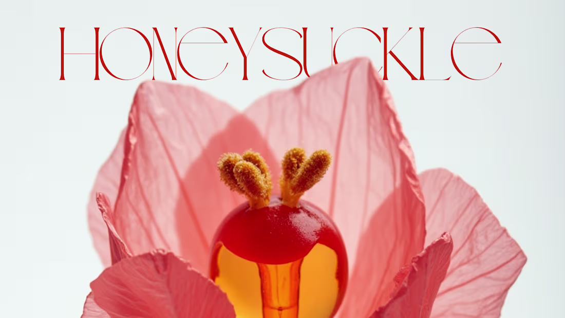 Cover image for The Signature Collection — Custom Branding Kit