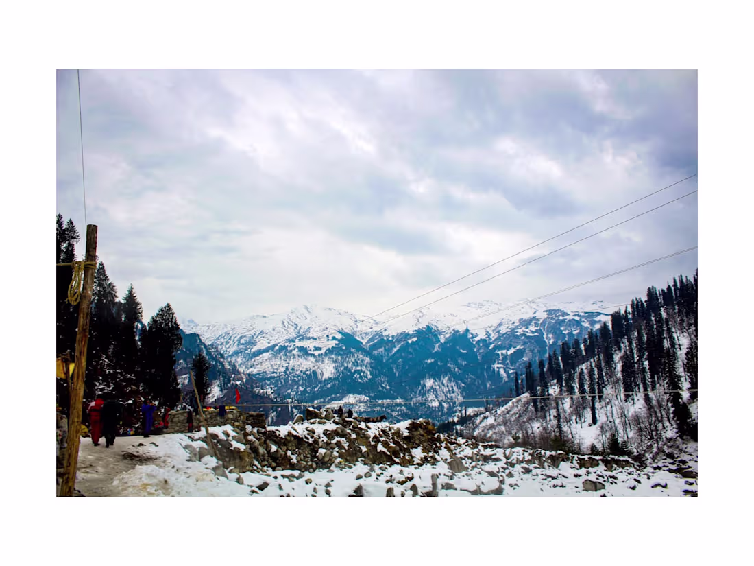 Cover image for Cinematographer 