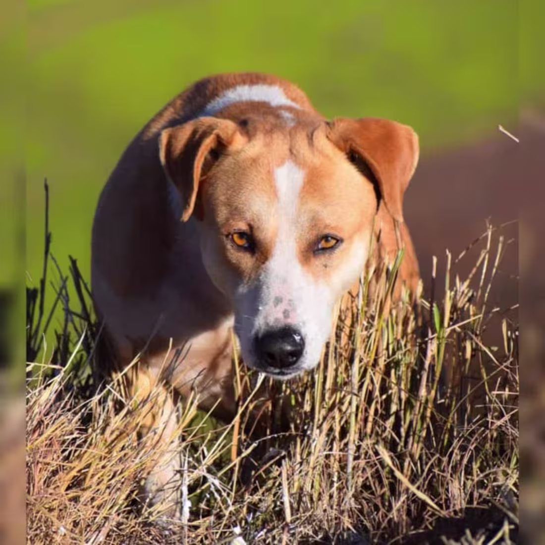 Cover image for I will edit your boring photographs and give them a new life