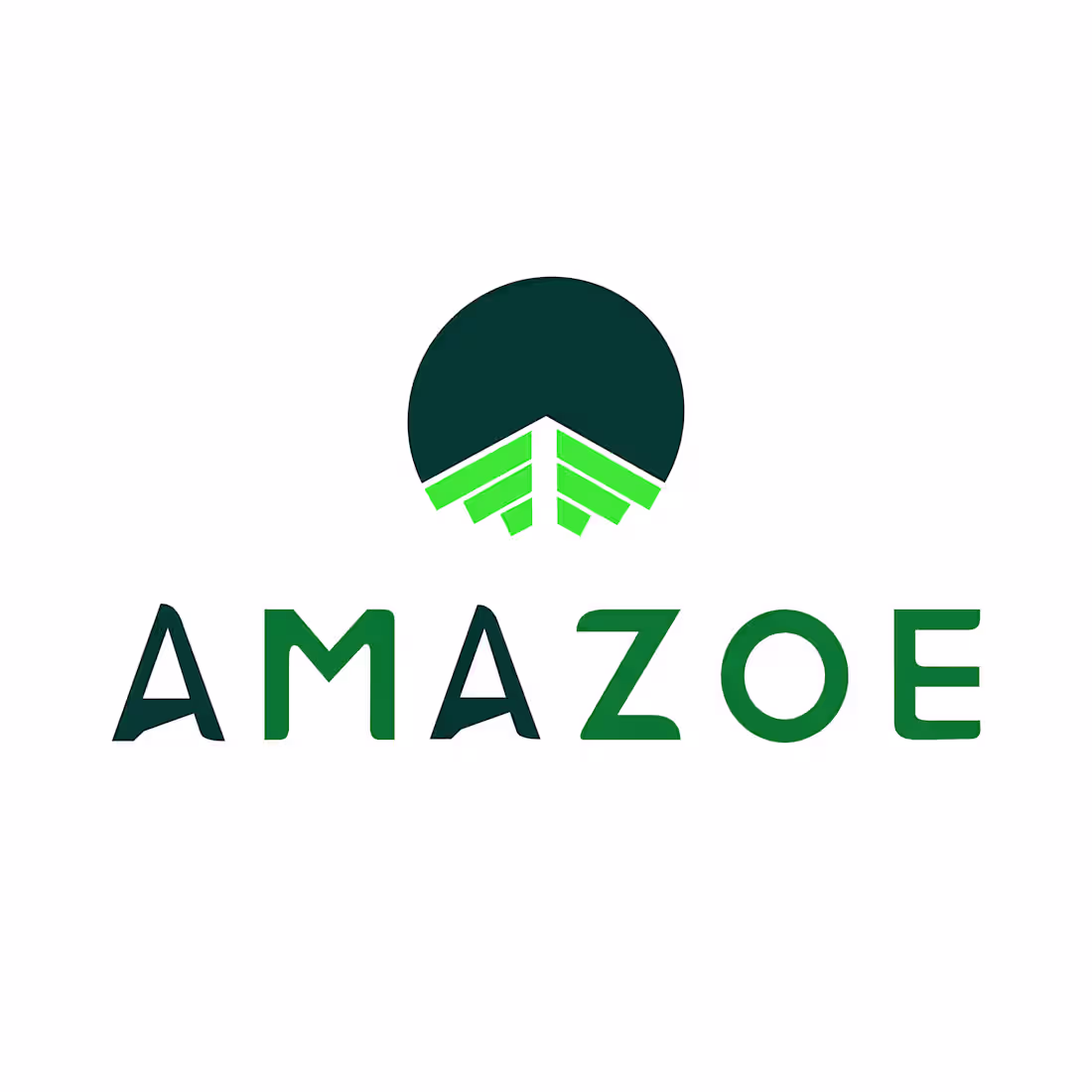 Cover image for Amazoe