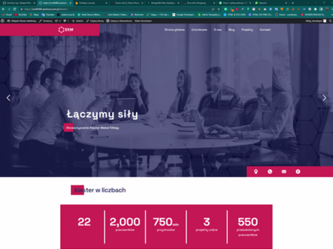 Cover image for Klastermeblowy Furniture Industry