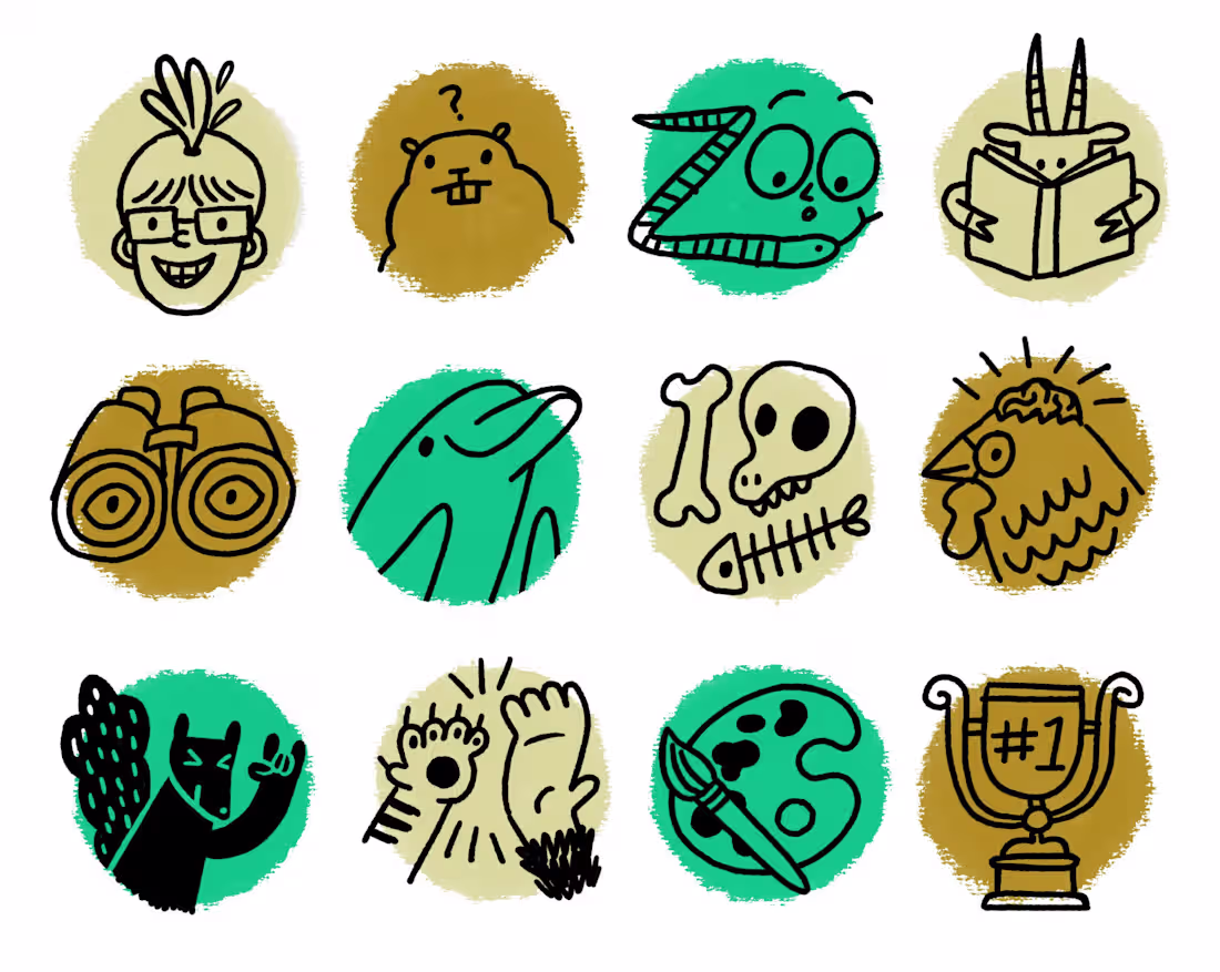 Cover image for Social Media Branding - Animal Budz