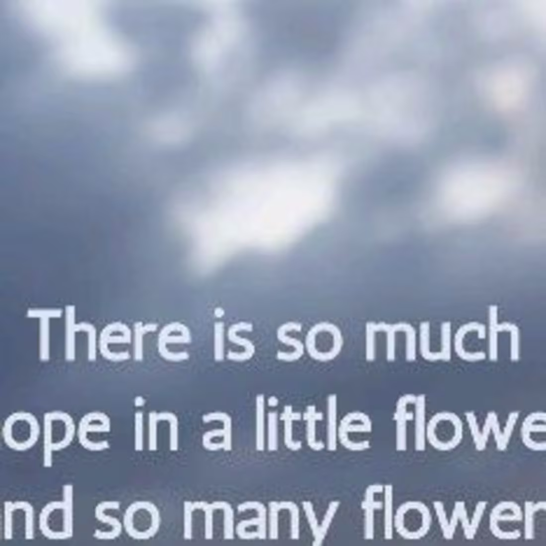 Cover image for quote design 