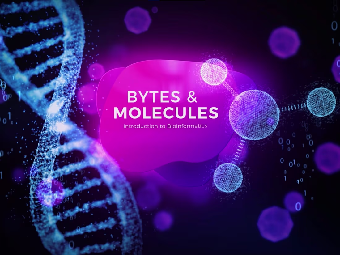 Cover image for Corporate Motion Design Reel