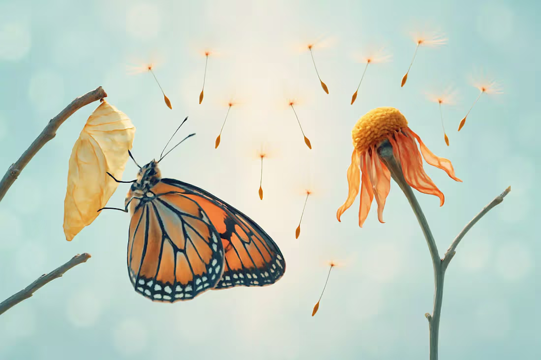 Cover image for Saying No to Grow: Why Dropping a Client Can Boost Your Business