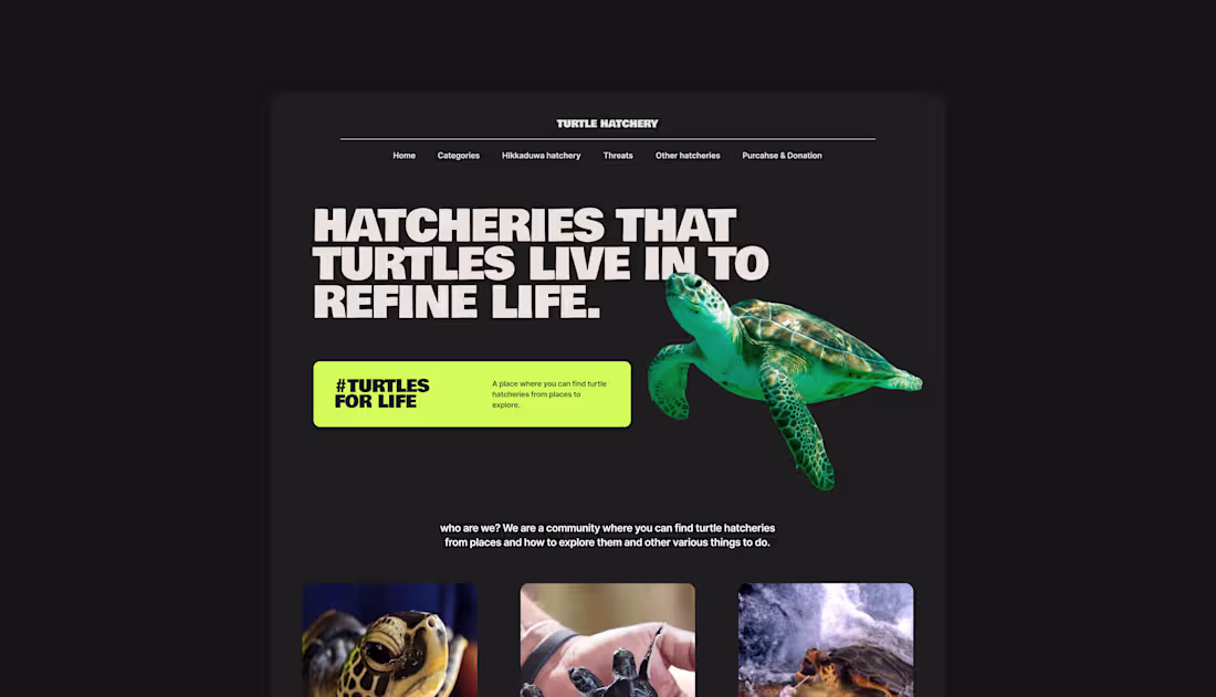 Cover image for Local Turtle Hatchery Website Design