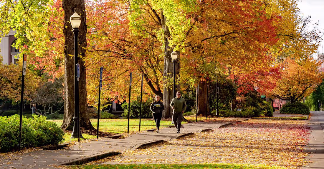 Cover image for Where to Eat and Drink in Corvallis, Oregon