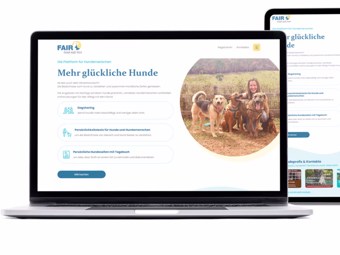 Cover image for Fairdogs