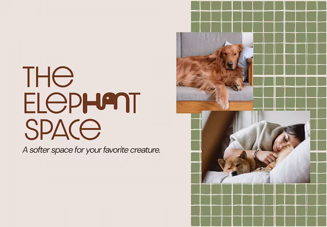 Cover image for Branding & Identity for a Modern Pet Lifestyle Brand