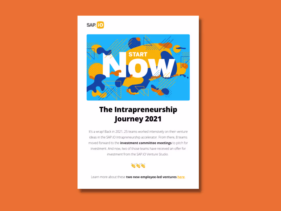 Cover image for Email Newsletters - SAP