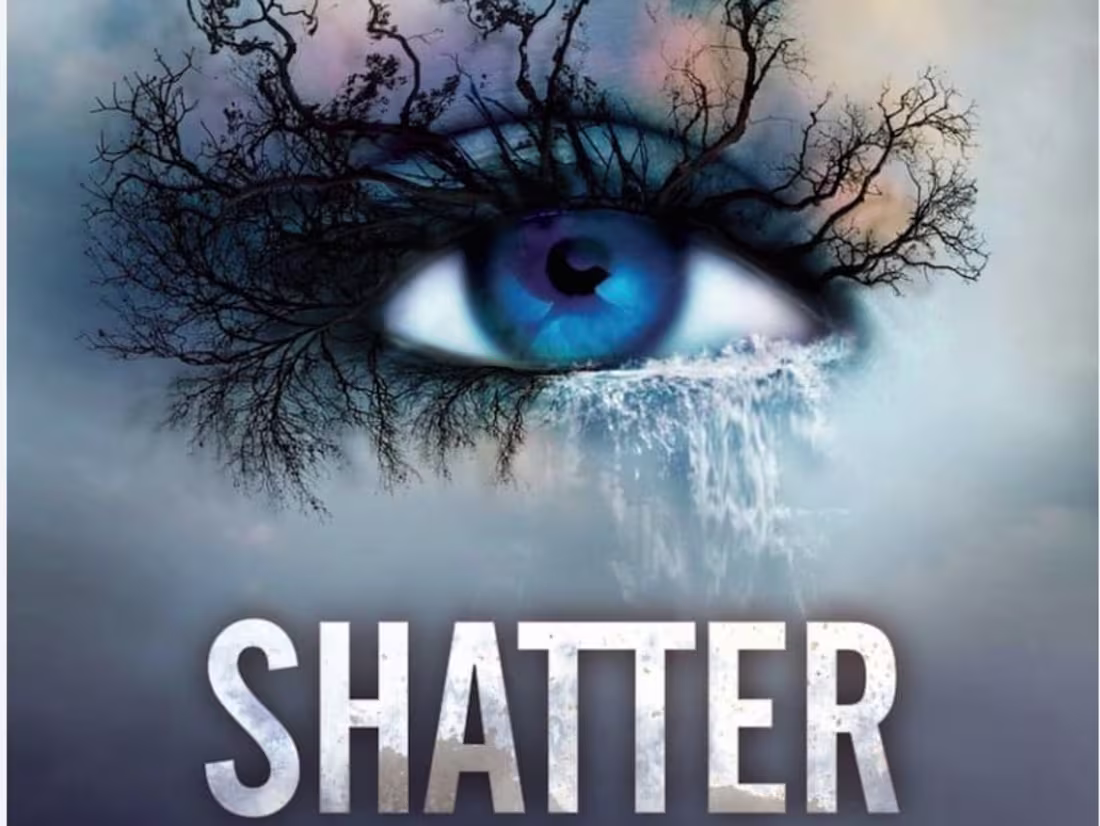 Cover image for Engaging Fiction Series