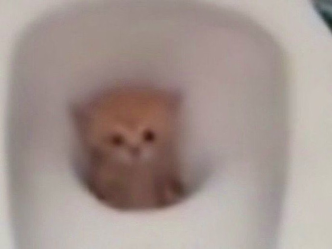 Cover image for every linux distros