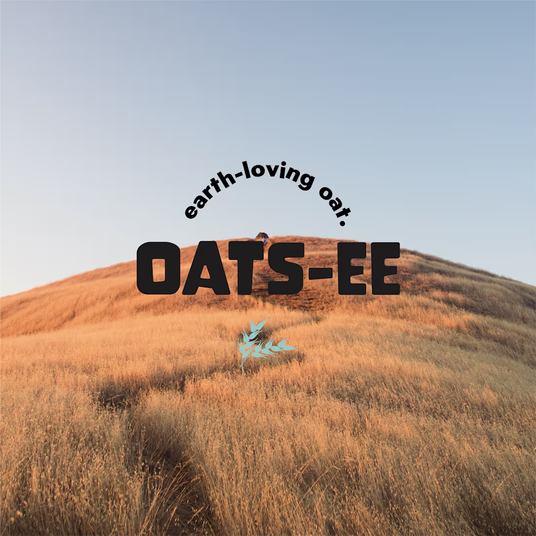 Cover image for Oatsee